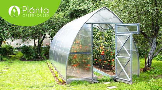 Planta Greenhouses